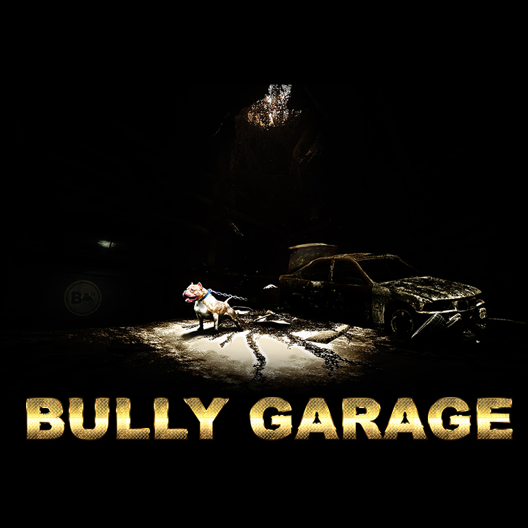 Bully Garage Custom Graphic Design