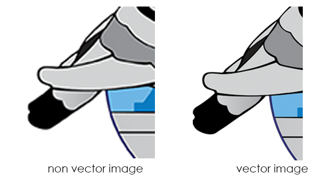 Vector Graphic vs Non-Vector Graphic