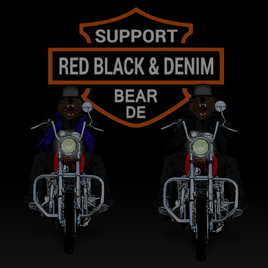 Bears on Motorcycle Design